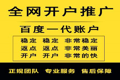 百度竞价排名实战：某电商平台的成功之路